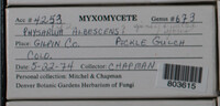 Image Associated With the Occurence